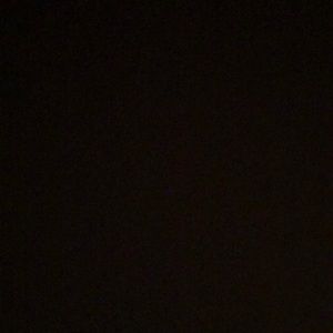 Meet your Posher, Sienna